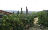 Maison à vendre à Sarlat la caneda — Vue nature — photo 30