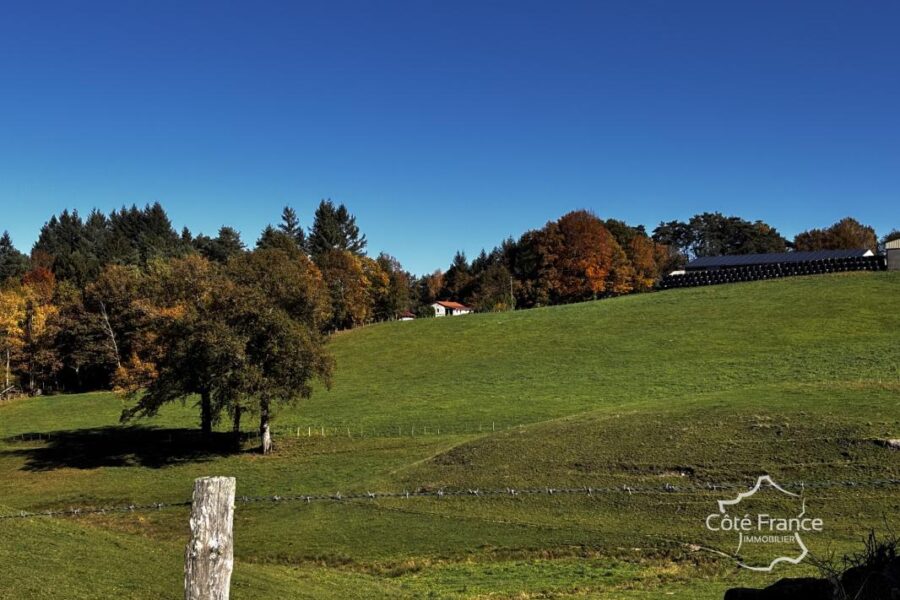 Maison à vendre à Goulles — Vue nature — photo 30