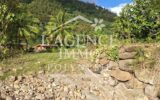 Maison à louer à Moorea-maiao — Vue mer — photo 15