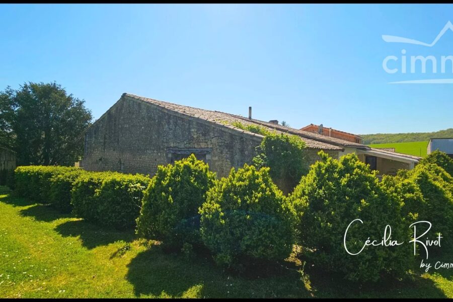 Maison à vendre à Saint-martial-de-mirambeau — Vue nature — photo 24