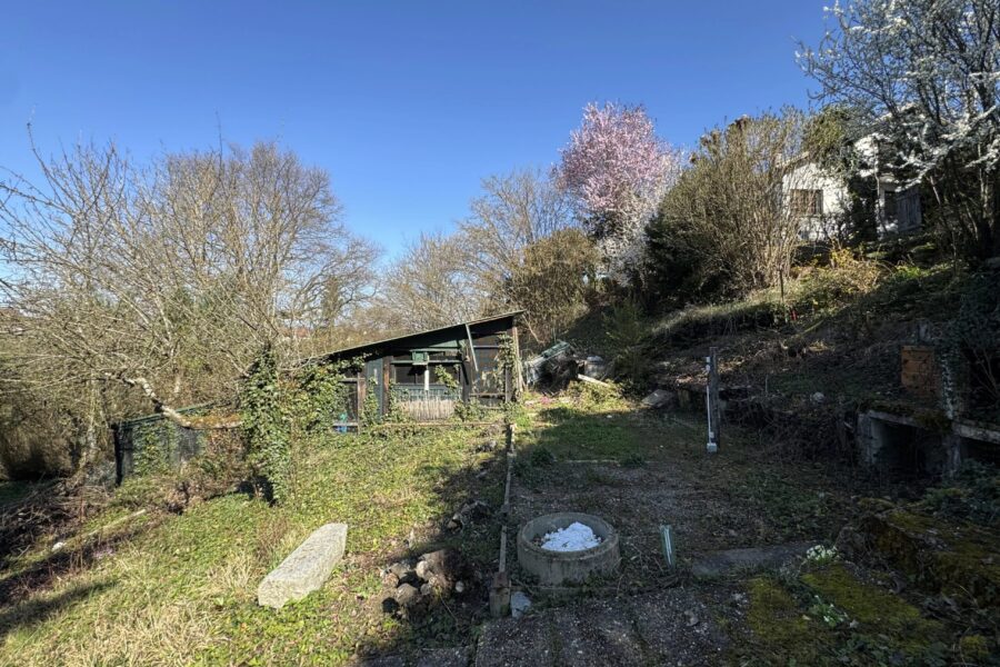 Terrain à vendre à Altkirch — Vue nature — photo 5