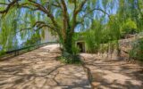 Maison à vendre à Cap-d&rsquo;ail — Vue mer — photo 11