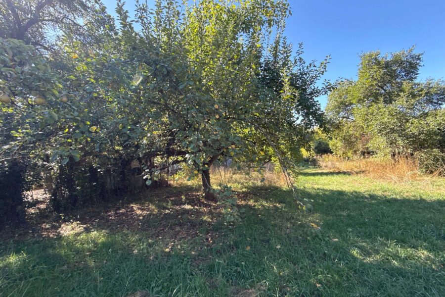 Maison à vendre à Corre — Vue nature — photo 28