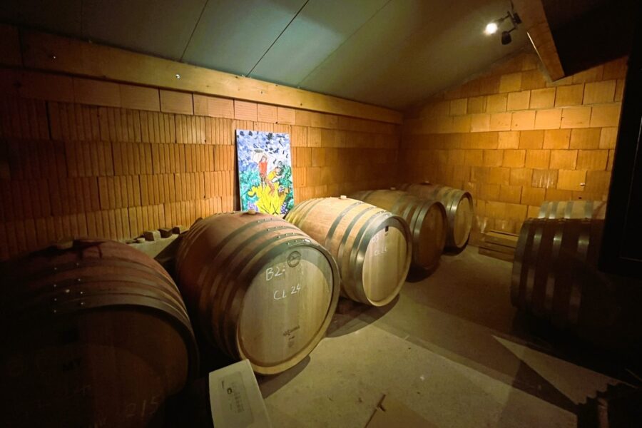 Maison à vendre à Caux — Vue vignes — photo 6