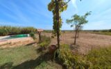 Maison à vendre à Neffies — Vue nature — photo 11