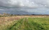 Terrain à vendre à Pouzolles — Vue vignes — photo 4