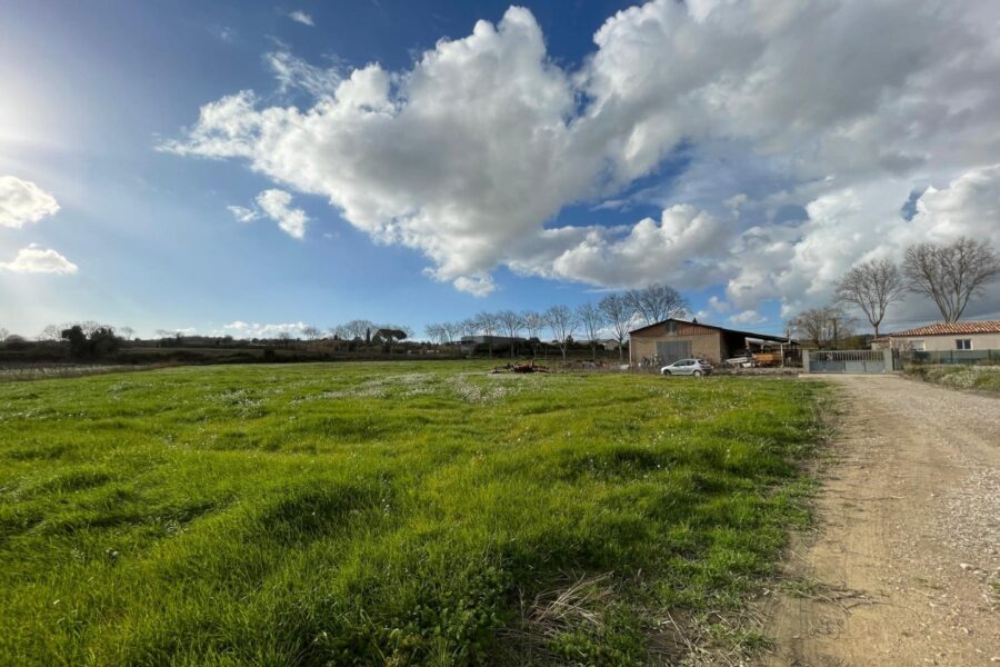 Terrain à vendre à Pouzolles — Vue vignes — photo 6