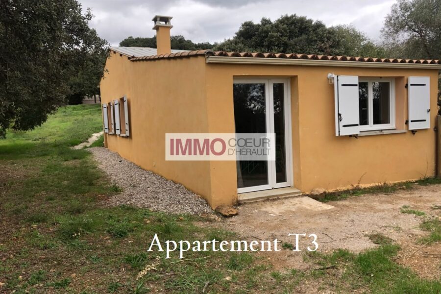 Maison à vendre à Puechabon — Vue nature — photo 20