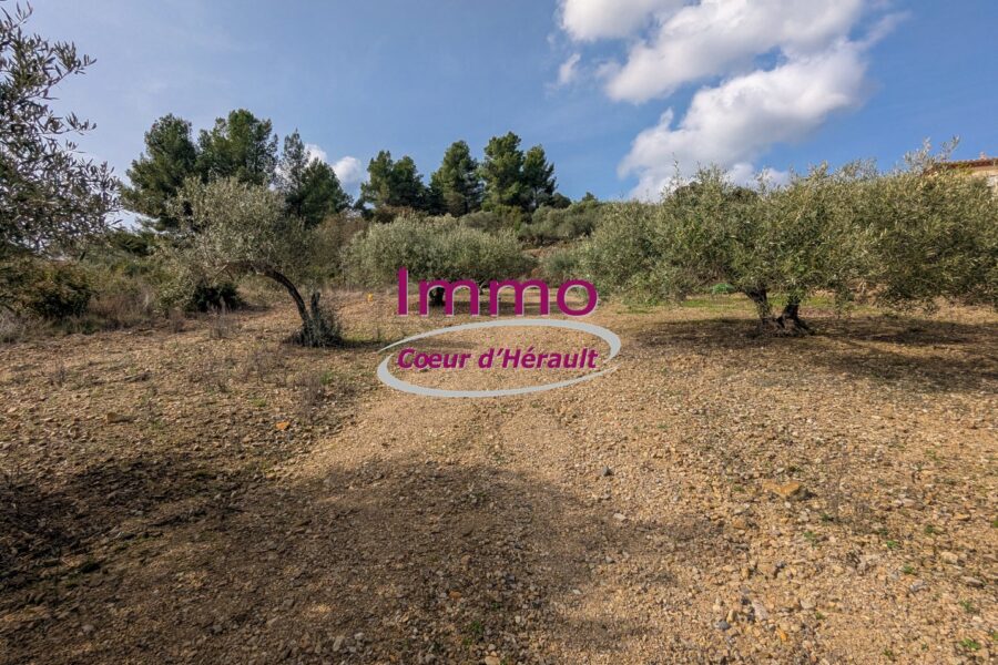Terrain à vendre à Peret — Vue nature — photo 3