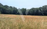 Terrain à vendre à Mons — Vue nature — photo 2