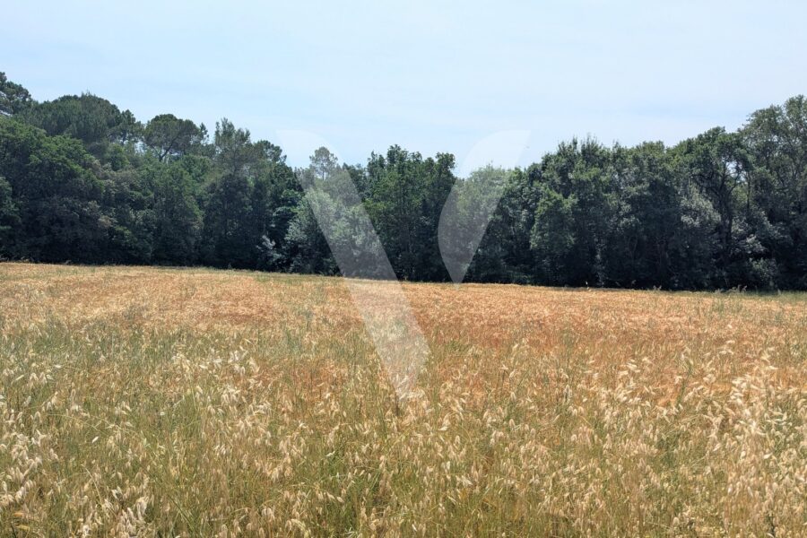 Terrain à vendre à Mons — Vue nature — photo 2