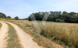 Terrain à vendre à Mons — Vue nature — photo 1