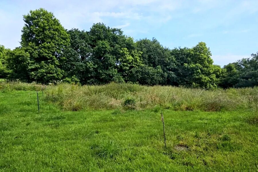 Maison à vendre à Bégard — Vue nature — photo 5