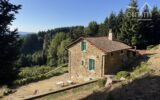 Maison à vendre à Thiolières — Vue montagne — photo 39