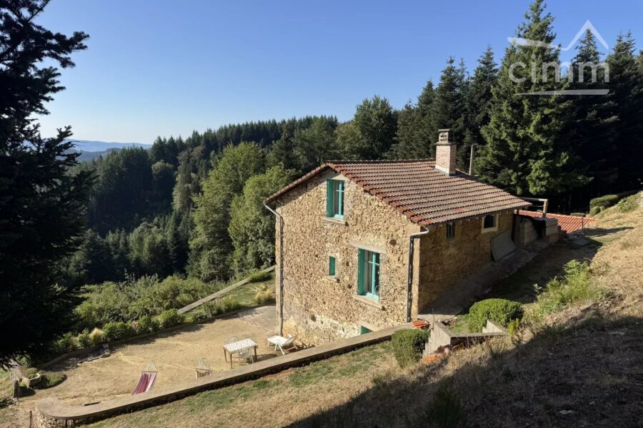 Maison à vendre à Thiolières — Vue montagne — photo 39