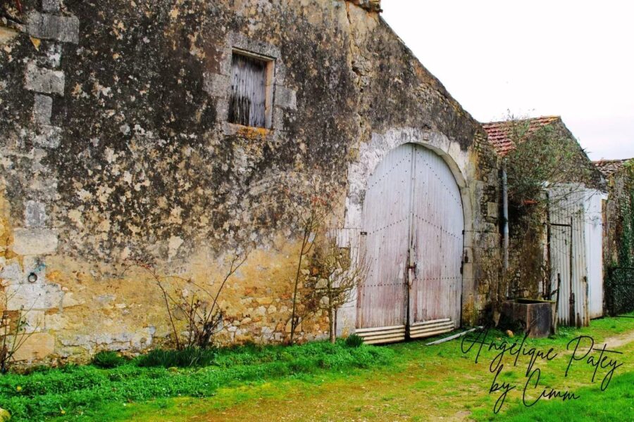 Maison à vendre à Saint-genis-de-saintonge — Vue nature — photo 4