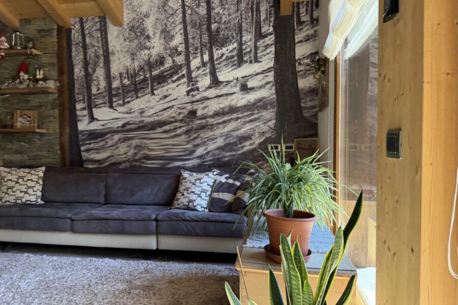 Appartement à vendre à Valdidentro — Vue montagne — photo 25