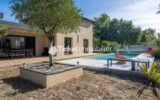 Maison à vendre à Cornebarrieu — Vue parc & jardin — photo 8