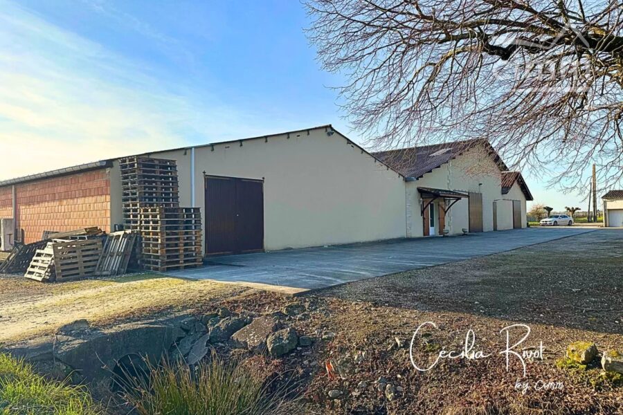 Maison à vendre à Val-de-livenne — Vue nature — photo 19