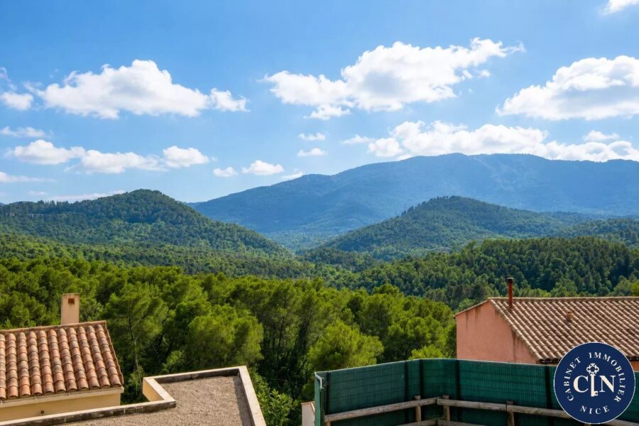 Maison à vendre à Blausasc — Vue montagne — photo 12