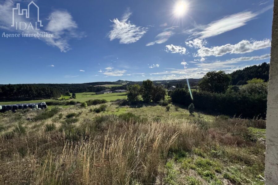 Maison à vendre à Peyre en aubrac — Vue nature — photo 9