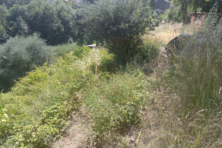 Maison à vendre à Sainte-agnès — Vue mer — photo 18