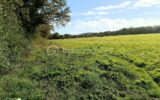 Terrain à vendre à Aire sur l adour — Vue nature — photo 4