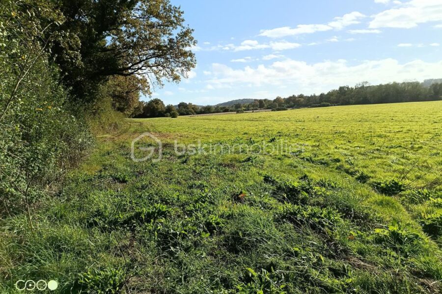 Terrain à vendre à Aire sur l adour — Vue nature — photo 4