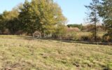 Terrain à vendre à Negrepelisse — Vue nature — photo 4