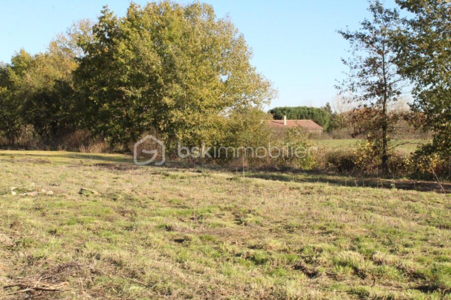Terrain à vendre à Negrepelisse — Vue nature — photo 4