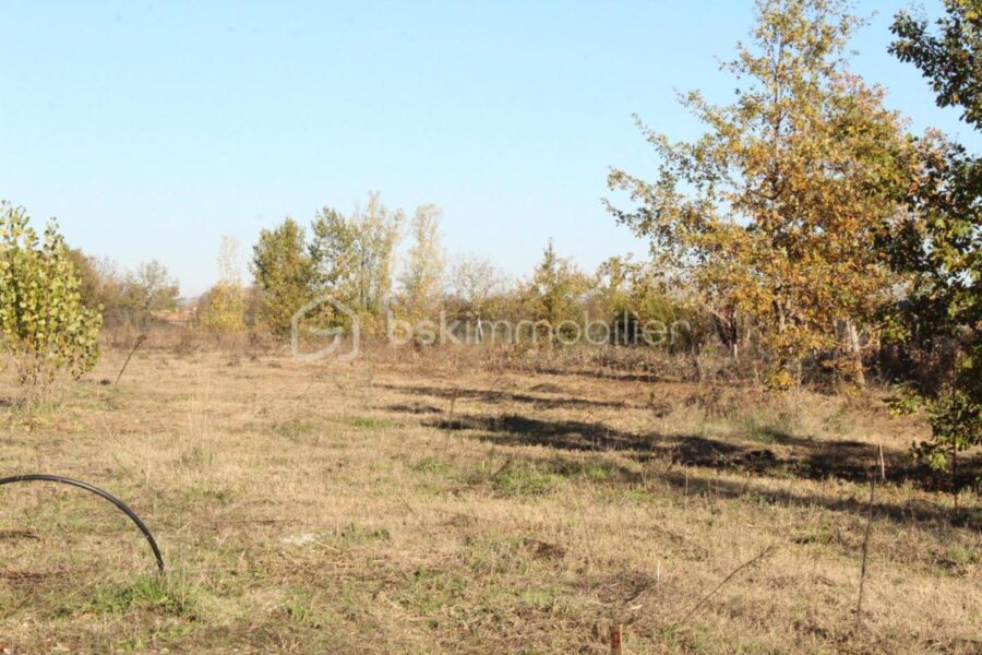 Terrain à vendre à Negrepelisse — Vue nature — photo 4