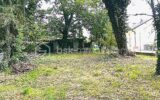 Terrain à vendre à Colmar — Vue dégagée — photo 1