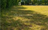 Terrain à vendre à Saint amand sur sevre — Vue nature — photo 5