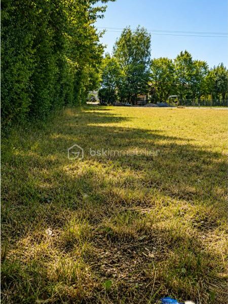 Terrain à vendre à Saint amand sur sevre — Vue nature — photo 5
