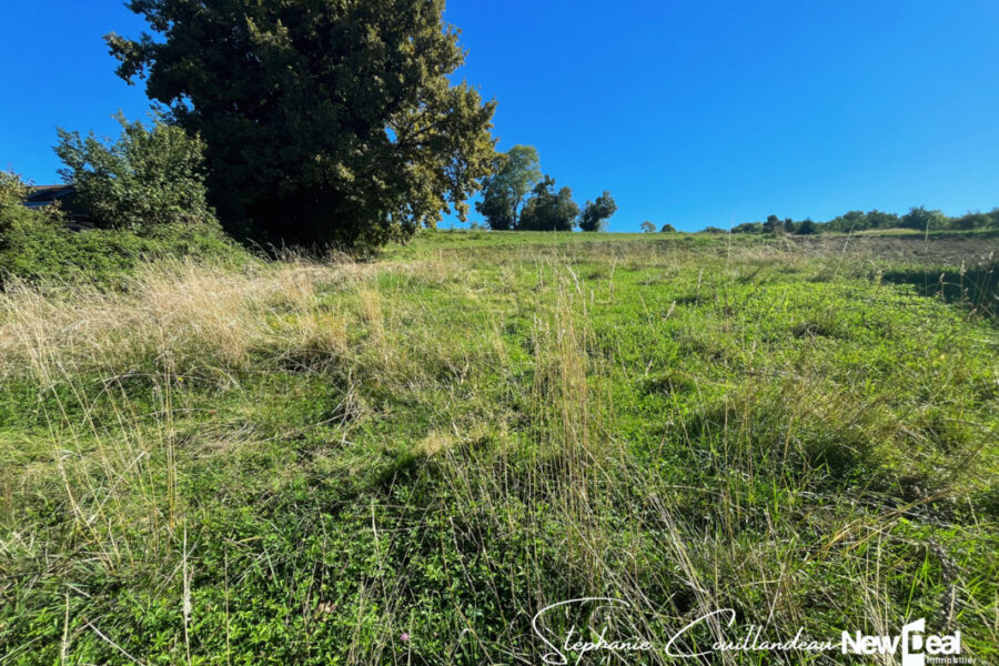 Terrain à vendre à Gresy sur aix — Vue nature — photo 4