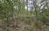 Terrain à vendre à Oraison — Vue dégagée — photo 5