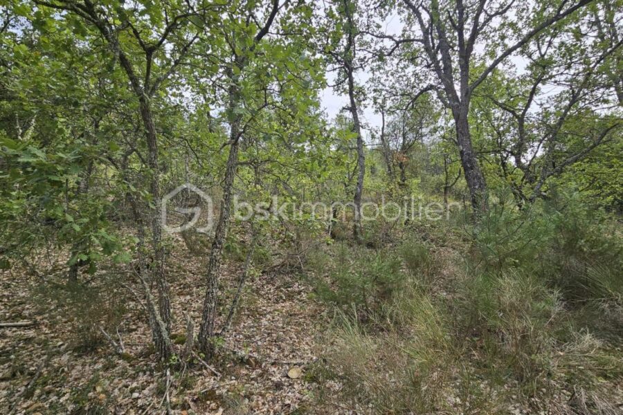 Terrain à vendre à Oraison — Vue dégagée — photo 5