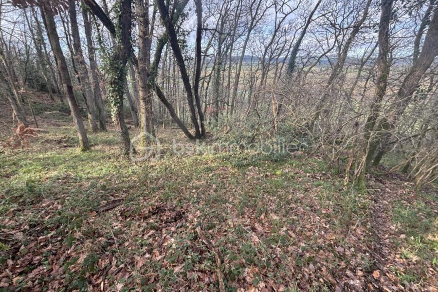 Terrain à vendre à Esson — Vue nature — photo 4