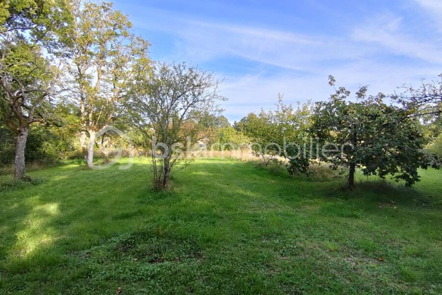 Terrain à vendre à Parigny les vaux — Vue nature — photo 5
