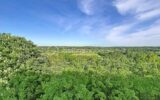 Appartement à vendre à Corbeil essonnes — Vue nature — photo 1