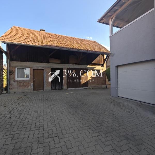 Maison à vendre à Schirrhein — Vue nature — photo 5