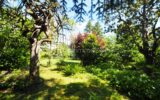 Terrain à vendre à Chasselay — Vue dégagée — photo 1