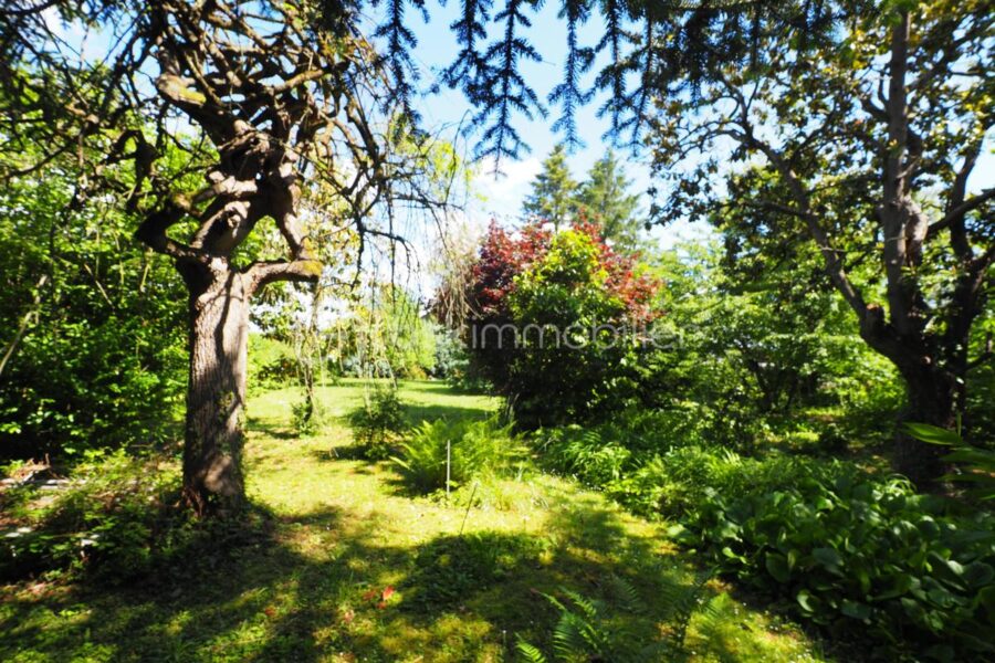 Terrain à vendre à Chasselay — Vue dégagée — photo 1