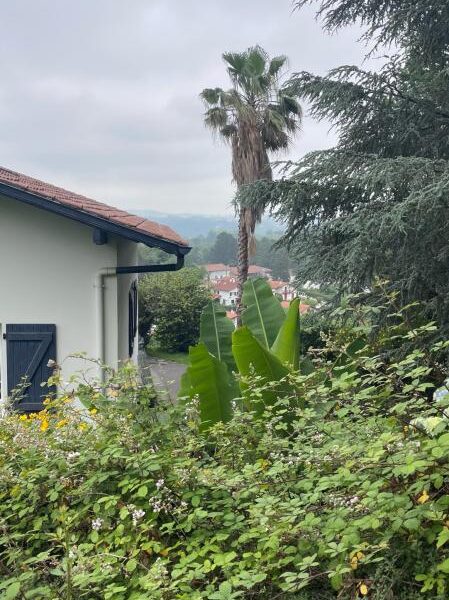 Maison à vendre à Cambo les bains — Vue nature — photo 4