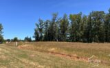 Terrain à vendre à Saint santin — Vue nature — photo 4