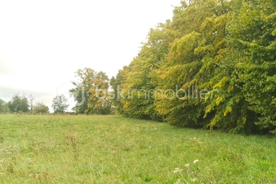 Terrain à vendre à Auneuil — Vue dégagée — photo 4
