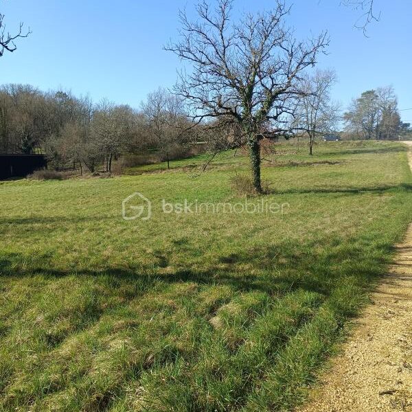 Terrain à vendre à Tourtoirac — Vue nature — photo 4