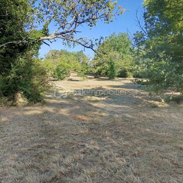 Terrain à vendre à Tourtoirac — Vue nature — photo 4