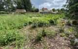 Terrain à vendre à Villeconin — Vue dégagée — photo 4