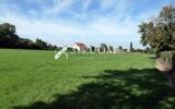 Terrain à vendre à Freauville — Vue nature — photo 4
